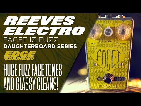Facet IZ Vintage FuzzFace Guitar Pedal | C1016Y Transistors | Tone